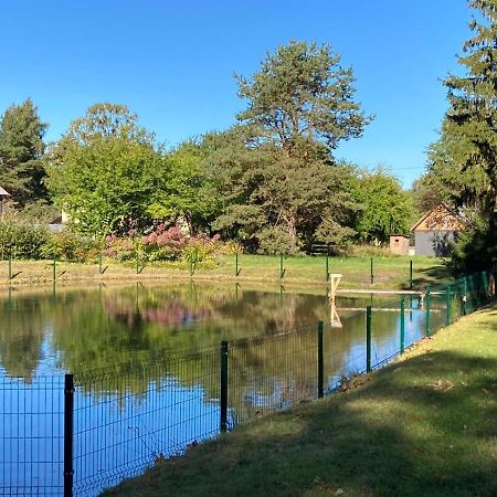 Luci Juras Apartamenti 2 Roja Exteriér fotografie